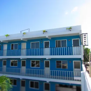 Blue Coconut Messico